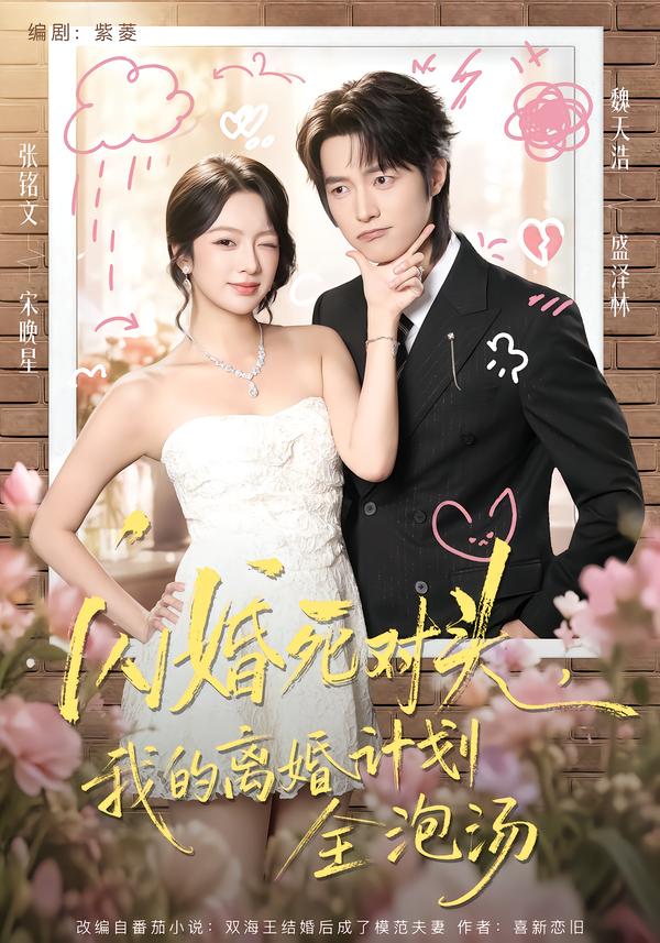 闪婚死对头,我的离婚计划全泡汤