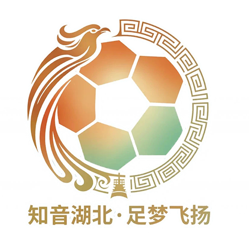 湖北省城市足球联赛 孝感孝傲江湖队VS宜昌东阳光队20261017